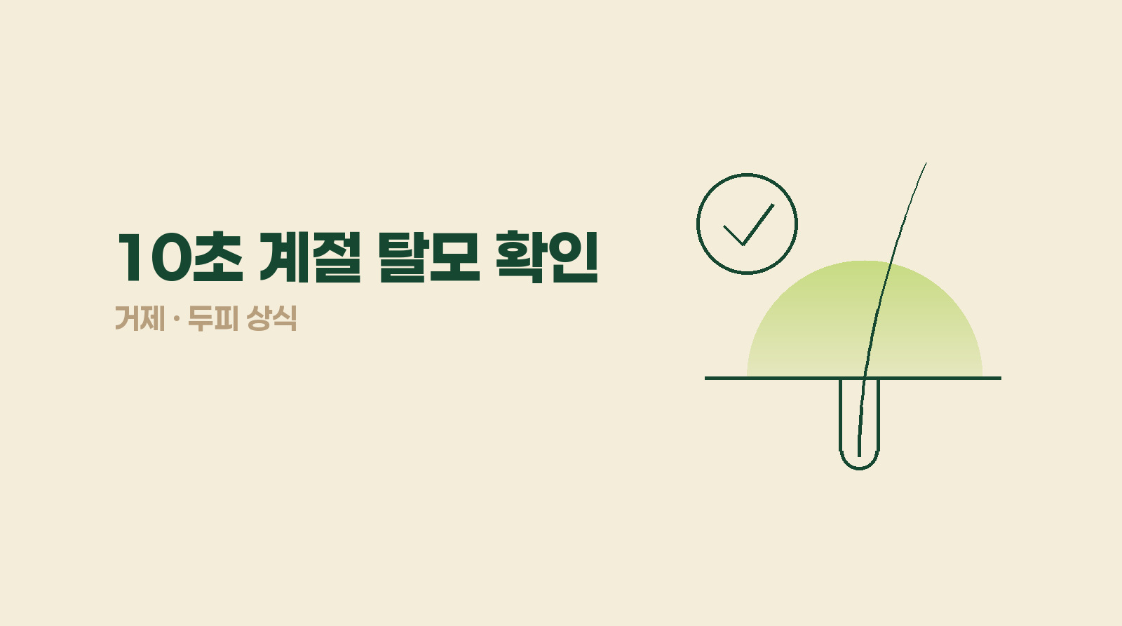 가을에 빠지는 머리, 계절 탓인지 10초 안에 확인할 수 있을까?