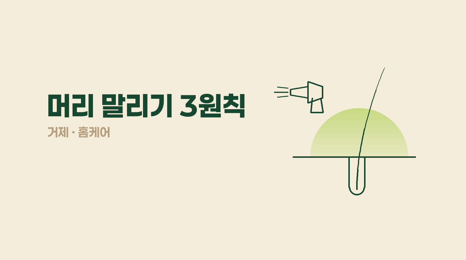 드라이어로 머리 말릴 때, 온도·거리·순서 중 뭐부터 지켜야 할까?