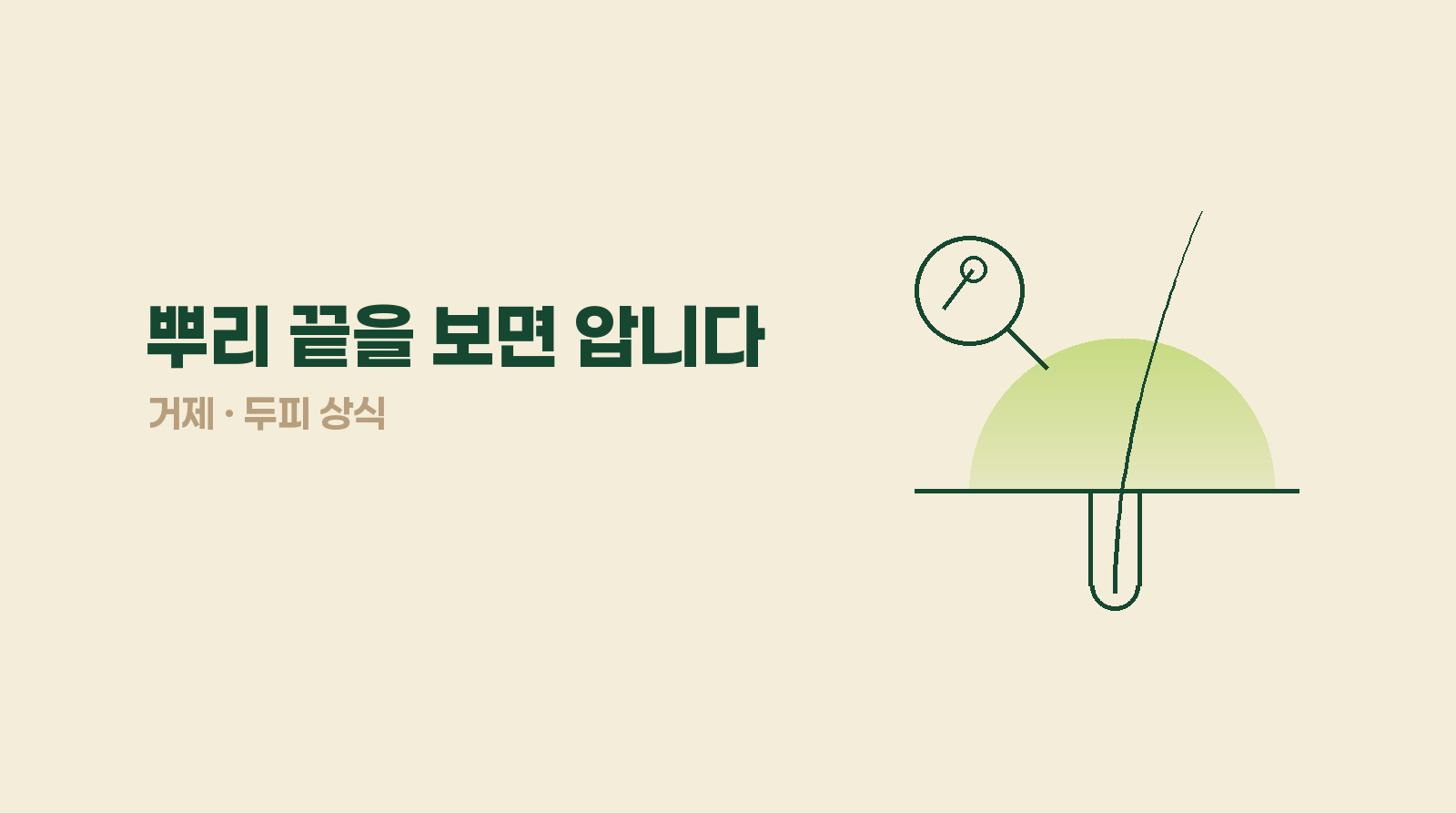 빠진 머리카락 뿌리 끝, 탈모인지 손상인지 알려줍니다