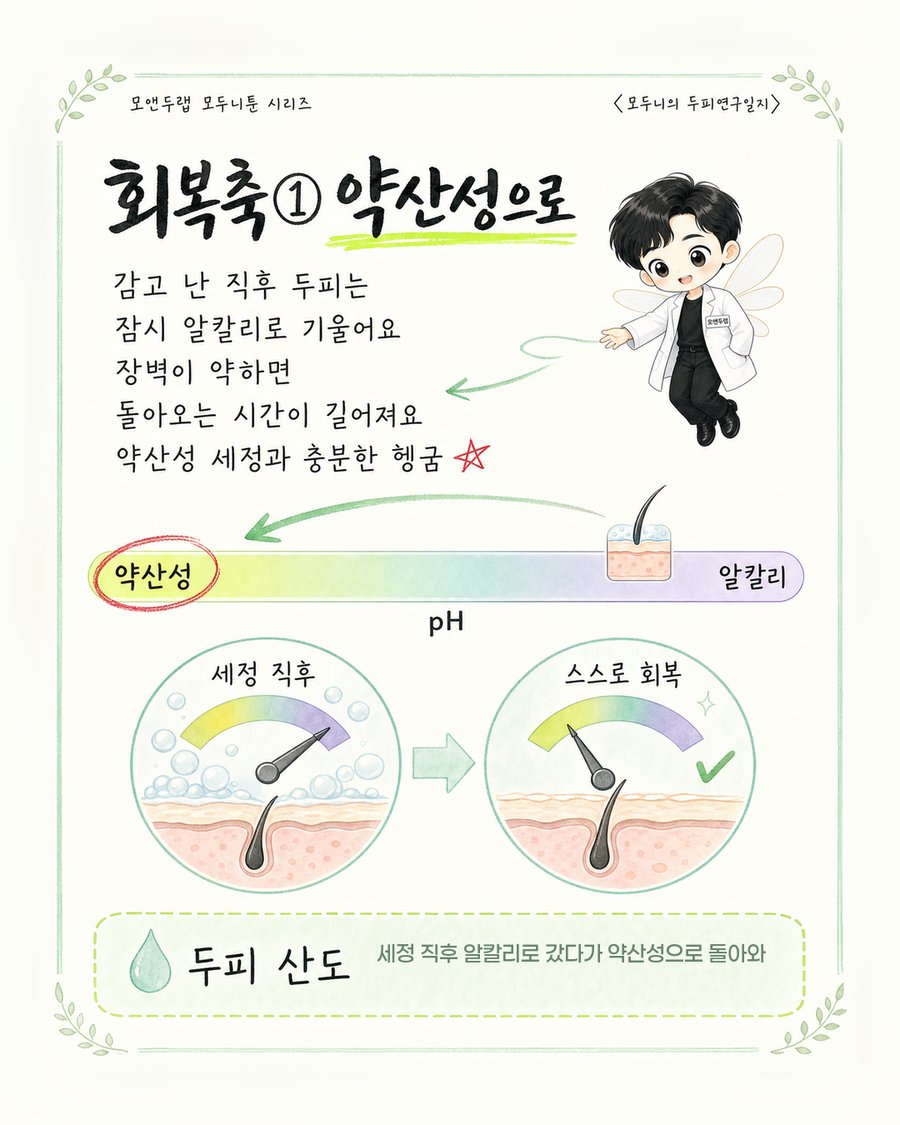 세정 직후 알칼리 쪽으로 기울었던 두피의 pH 지표가 다시 약산성 영역으로 돌아오는 과정을 화살표로 표시한 pH 스케일 그림