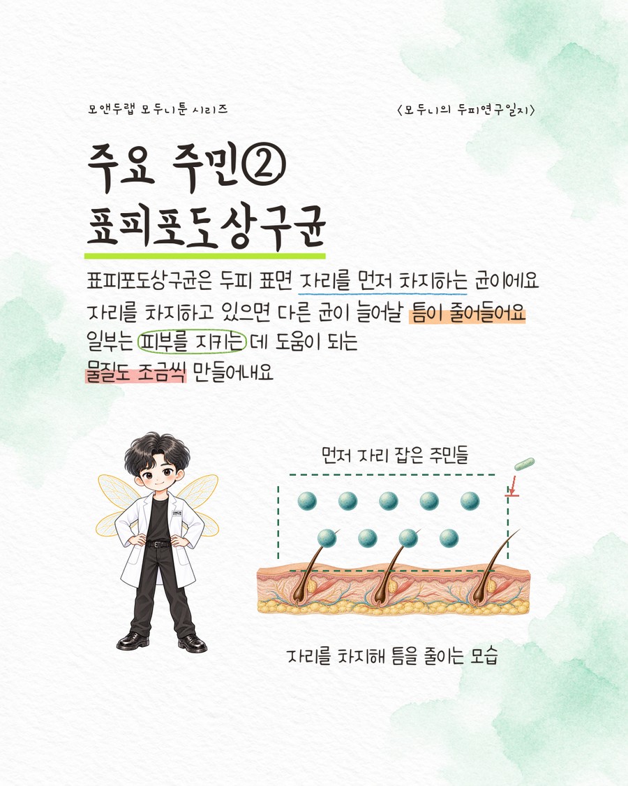 두피 표면 띠 위에 둥근 구균 아이콘 여러 개가 점선 경계선 안에 빽빽하게 모여 있고, 그 옆 '먼저 자리 잡은 주민들' 라벨과 작은 빨간 화살표가 경계선에 튕겨 나가는 모습이 그려진 그림. 캐릭터가 양손을 허리에 올리고 서 있다