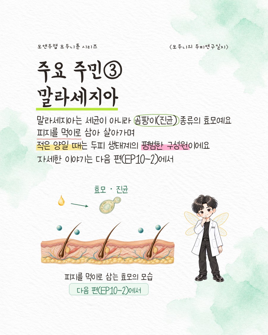 작은 타원형 효모 아이콘 한쪽에서 더 작은 타원이 돋아나는 출아 형태의 그림. 피지 방울에서 화살표가 이어지고, 옆에는 '효모·진균' 라벨과 '다음 편(EP10-2)에서' 라고 적힌 점선 박스가 있다. 캐릭터가 턱에 손을 괴고 신중한 표정을 짓고 있다