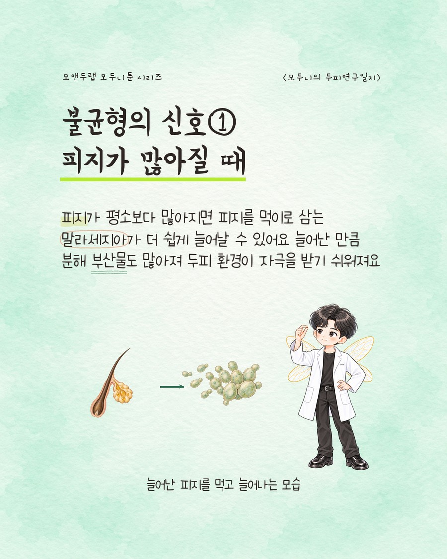 모낭 아래 피지선에서 피지 방울이 솟아나는 그림 옆에, 화살표를 따라 알이 굵어진 타원형 효모 아이콘 여러 개가 뭉쳐 있는 그림이 이어진다. 캐릭터가 한 손을 들어 올리며 놀란 듯한 표정을 짓고 있다