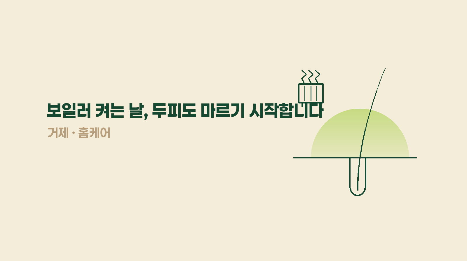 보일러 켜는 날, 두피도 마르기 시작합니다